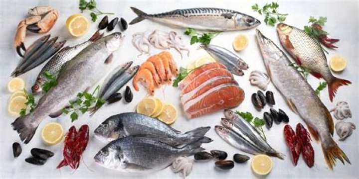 Are All Fish Considered Seafood