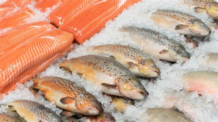 Can Frozen Fish Live Again