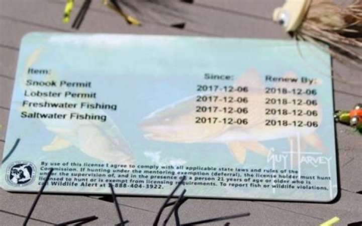 Do Veterans Need A Fishing License In Texas