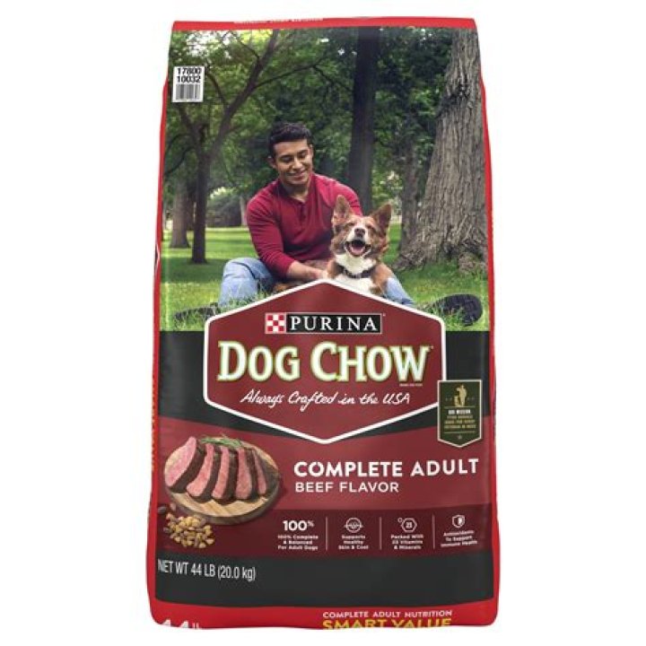 How Bad Is Purina Dog Chow