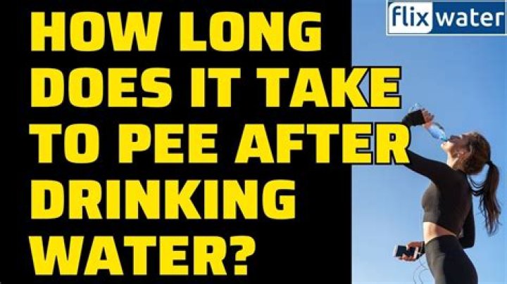 How Long After Drinking Water Does A Dog Pee