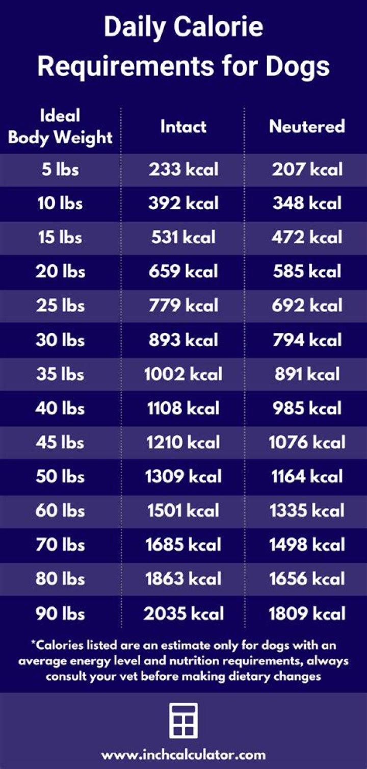 How Many Calories Does My Dog Need