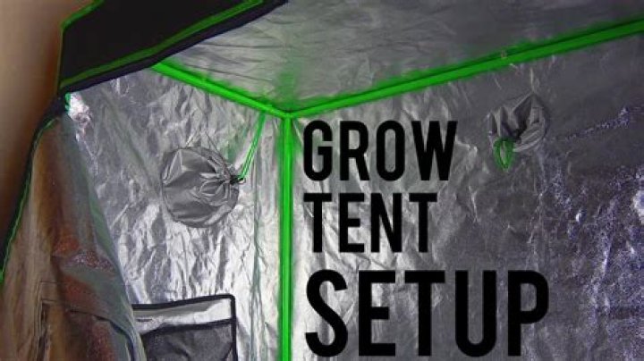 How Many Cfm For A 2X4 Grow Tent