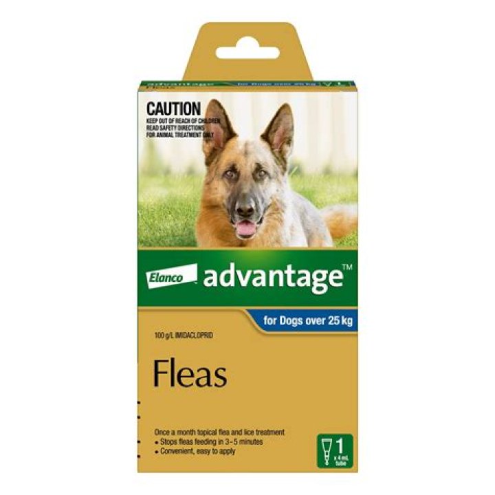 How Much Does It Cost For A Dog Flea Dip