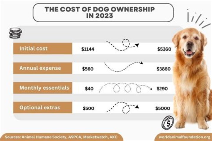 How Much Does It Cost To Make A Dog Collar