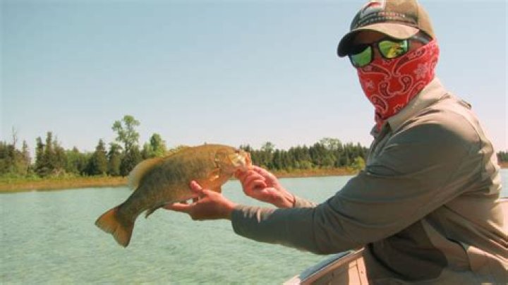 How Much Is A Fishing License In Missouri