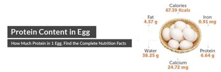 How Much Protein Is In Spaghetti