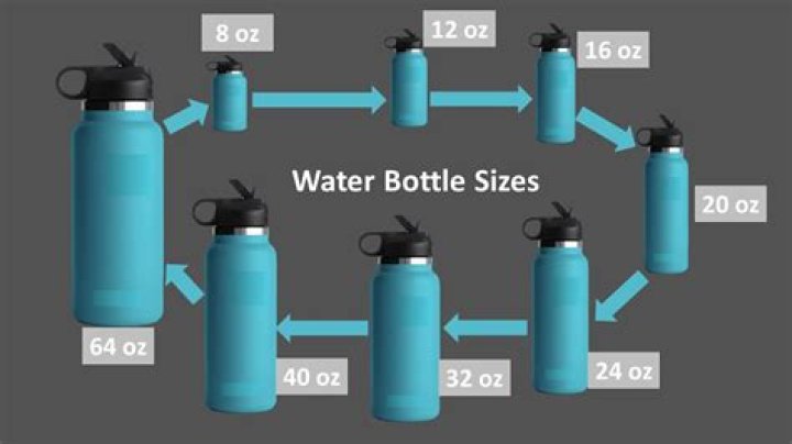 How Much Water Does A Typical Water Bottle Hold