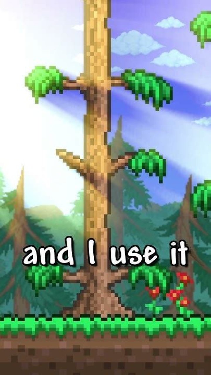 How To Get Over 500 Health In Terraria