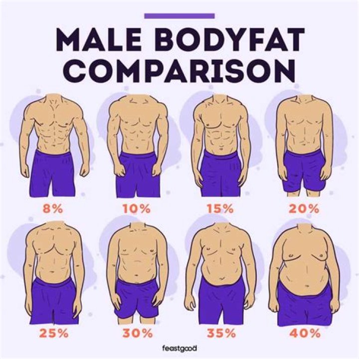 How To Lose 5 Percent Body Fat In 2 Weeks Male