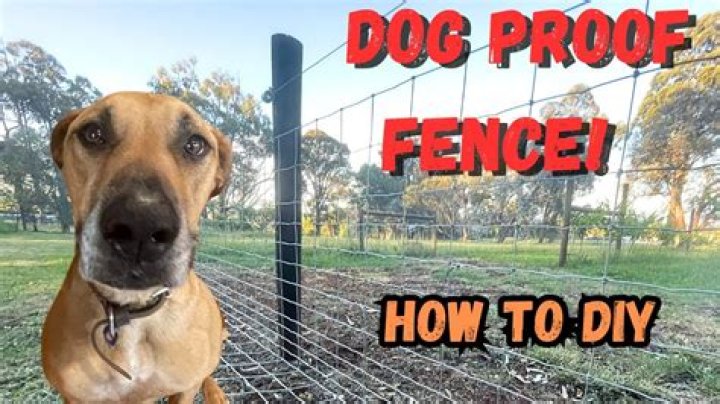 How To Make A Wrought Iron Fence Dog Proof