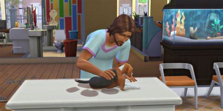 How To Sell Treats Sims 4 Cats And Dogs