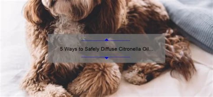 Is Diffusing Citronella Oil Safe For Dogs