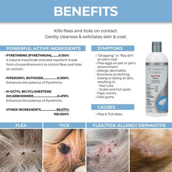 Is Dog Tick Shampoo Safe For Humans