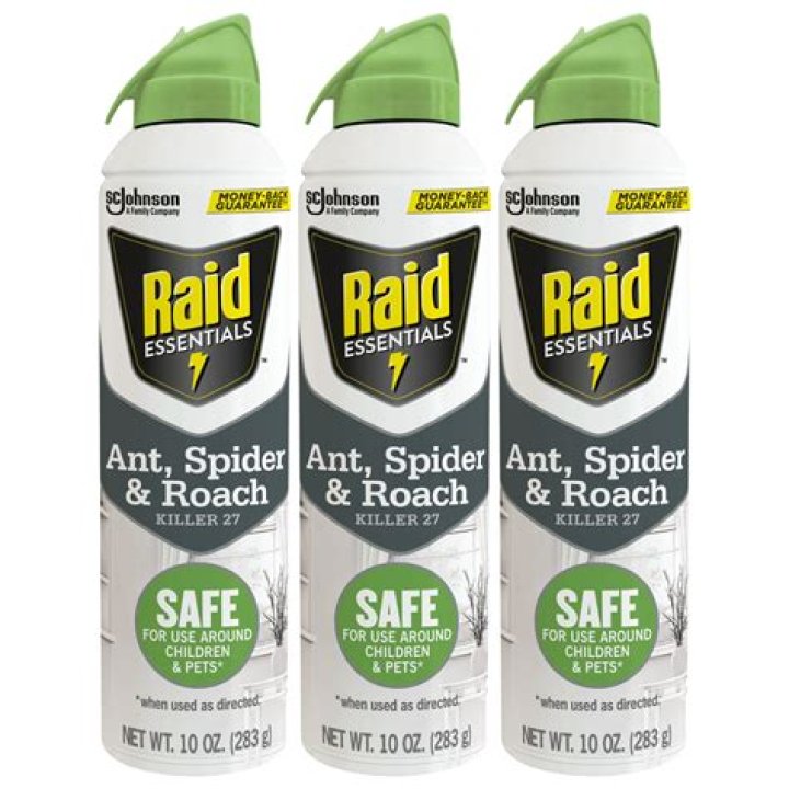 Is Raid Ant Spray Safe For Dogs
