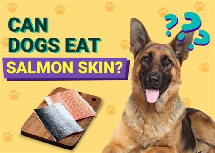 Is Salmon Skin Good For Dogs To Eat