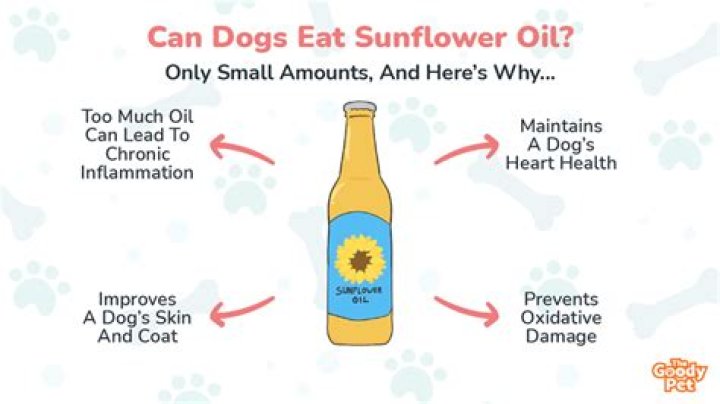 Is Sunflower Oil Good For Dogs