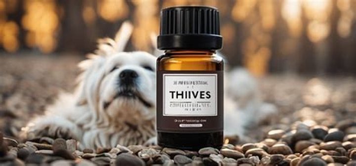 Is Thieves Safe For Dogs