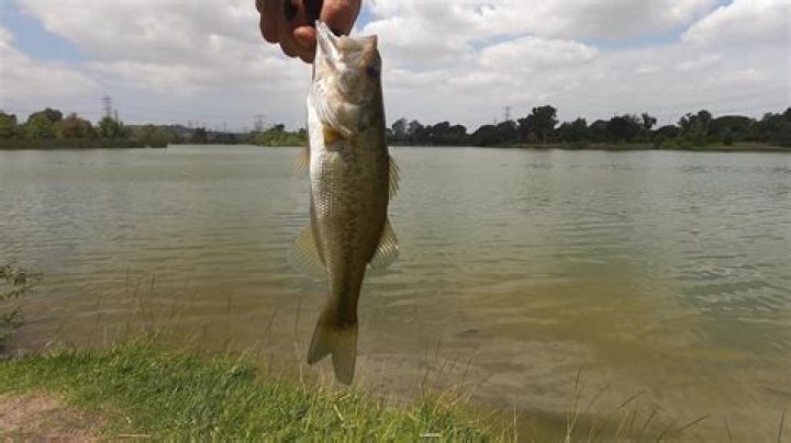 Legg Lake Fishing - How To Discuss
