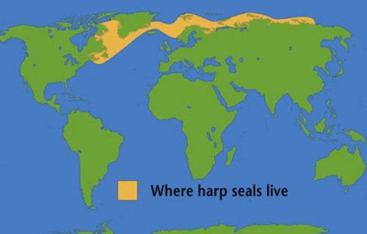 Map Of Where Seals Live