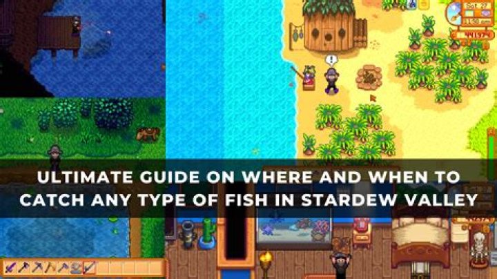 Question: A Way To Check What Fish Youve Caught Stardew