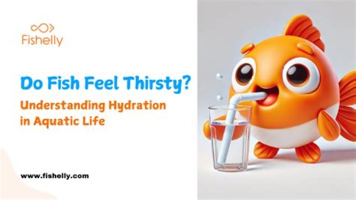 Question: Are Fish Ever Thirsty