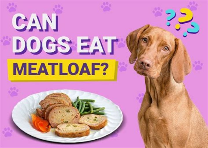Question: Can Dogs Eat Meatloaf