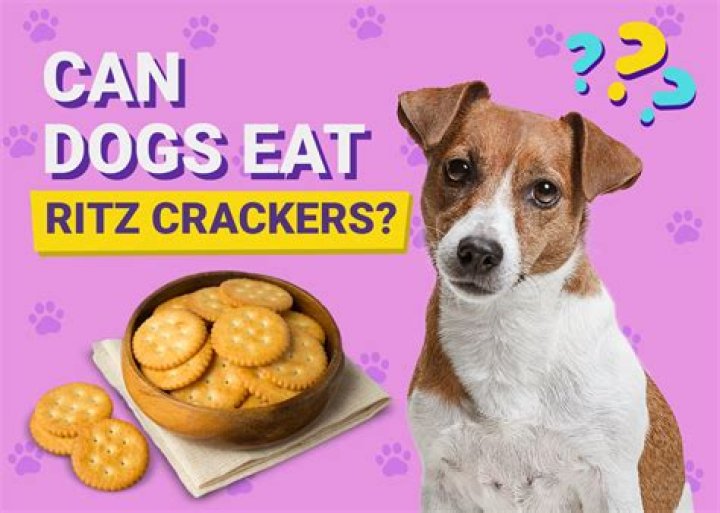 Question: Can Dogs Eat Ritz Crackers