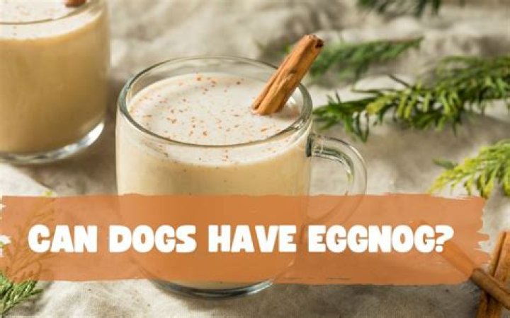 Question: Can Dogs Have Eggnog