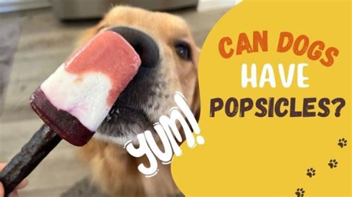 Question: Can Dogs Have Popsicles