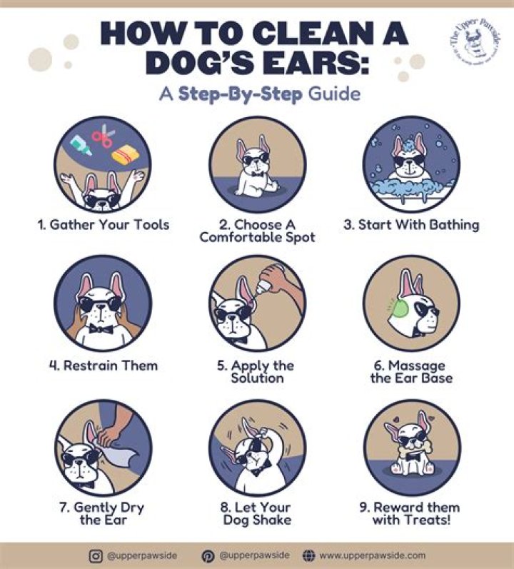 Question: Can I Use Mineral Oil To Clean My Dog’s Ears