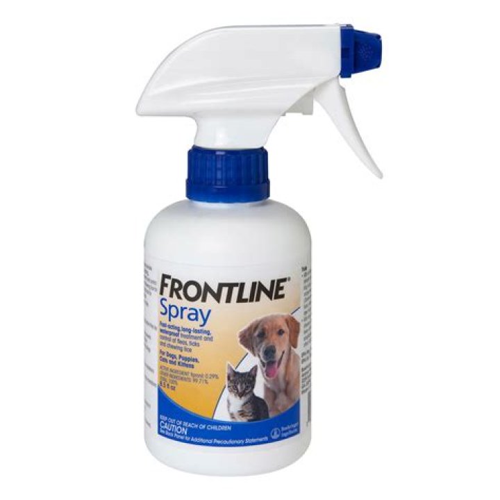 Question: Can I Use Out Of Date Frontline On My Dog