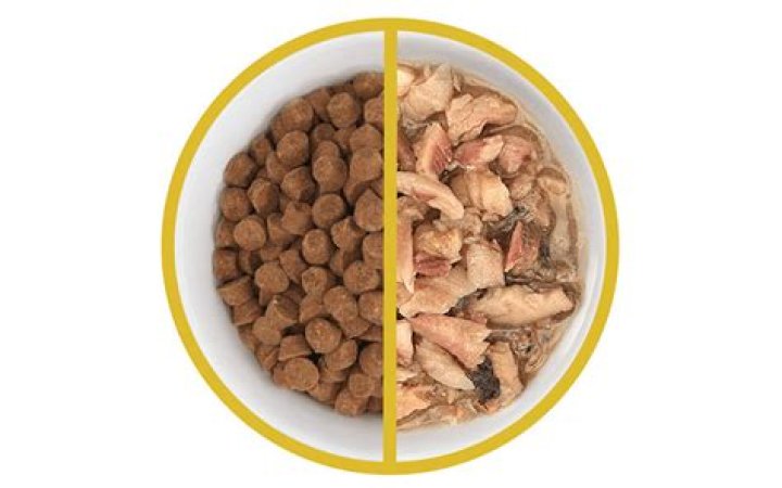 Question: Can My Cat Eat Dog Treats