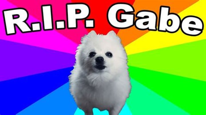 Question: Did Gabe The Dog Die