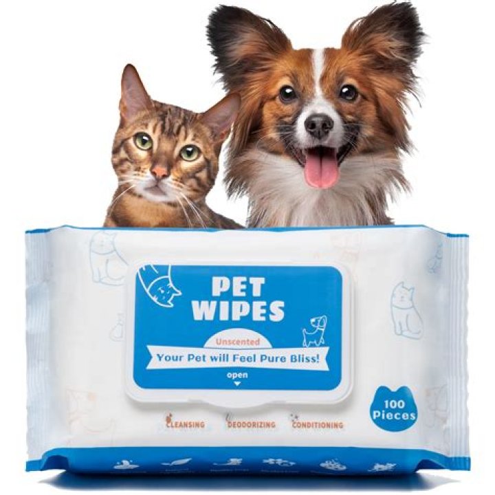 Question: Do Dogs Clean Their Faces Like Cats