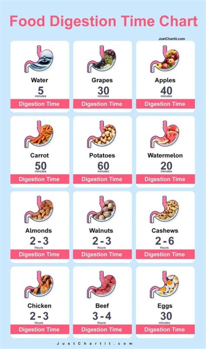 Question: How Long Does It Take Tuna Fish To Digest
