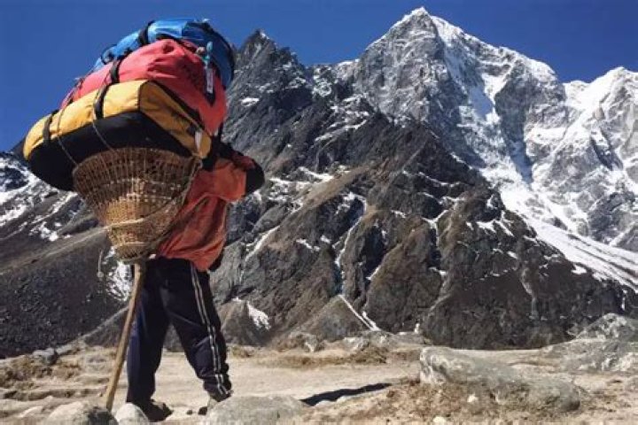 Question: How Much Does A Sherpa Cost