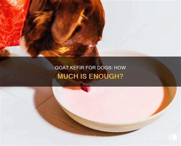 Question: How Much Goat Kefir Should I Give My Dog