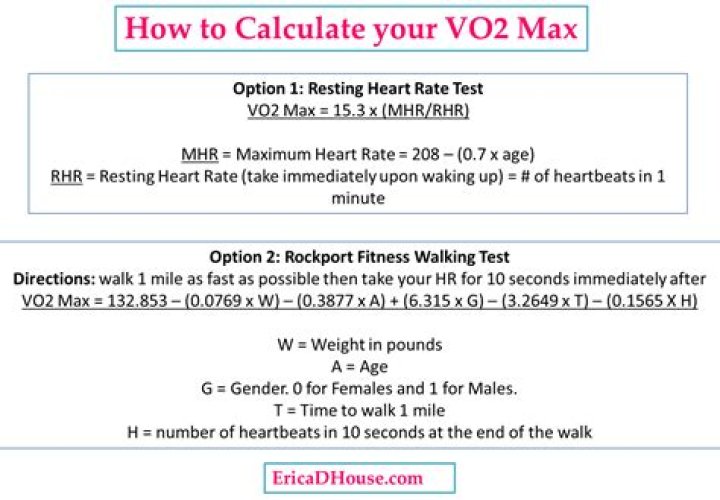 Question: How To Calculate Relative Vo2max