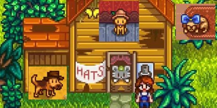 Question: How To Change Dog Into Cat In Stardew Valley