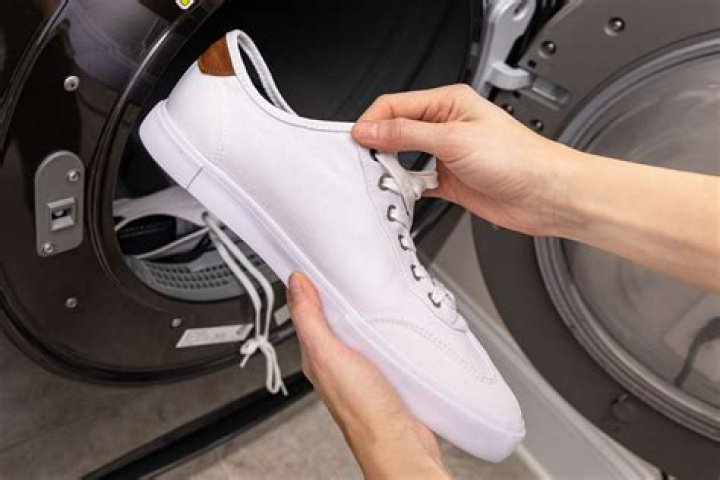 Question: How To Dry Shoes In Dryer