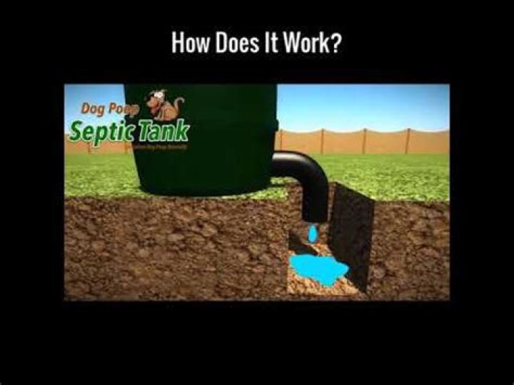 Question: How To Make A Dog Poop Septic Tank