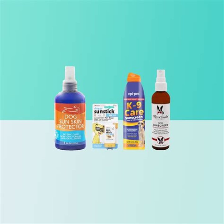 Question: How To Make Homemade Dog Sunscreen