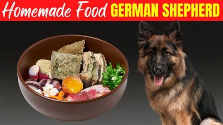 Question: How To Make Your Own Dog Food For German Shepherds