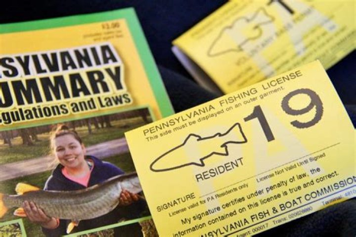 Question: How To Reprint A Fishing License In Mn