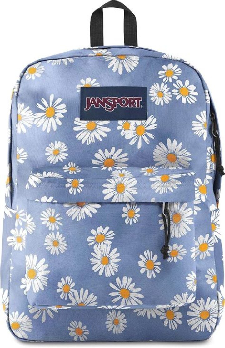Question: How To Wash A Jansport Backpack