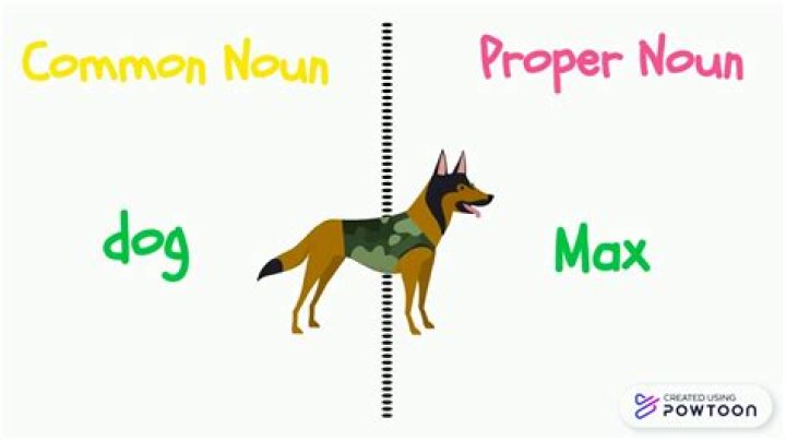 Question: Is Dog A Proper Noun