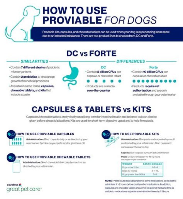 Question: Should I Give My Dog Proviable Forte Or Proviable Dc