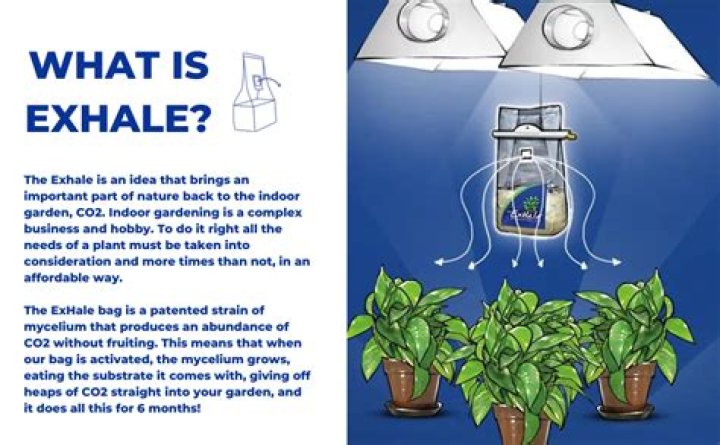 Question: Us It Safe To Have A Bunch Of Exhale Co2 Bags In My Bedroom Where I Have My Grow Tent And Sleep