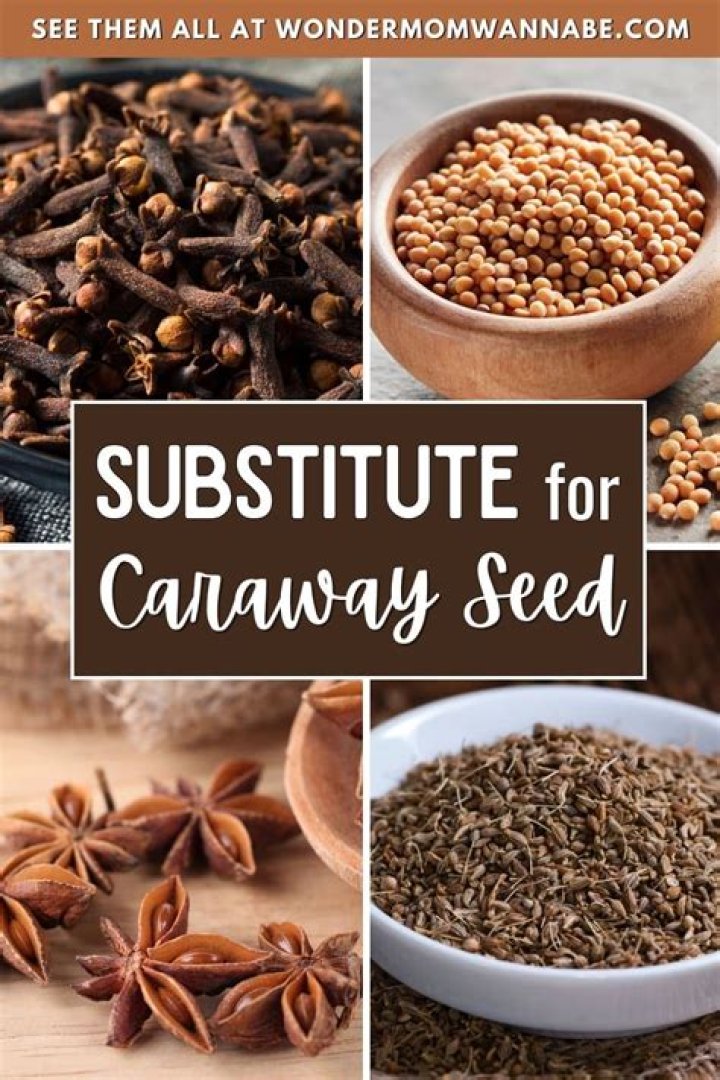 Question: What Can I Substitute For Caraway Seeds